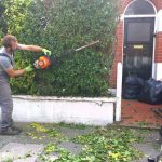 Tree Surgeons