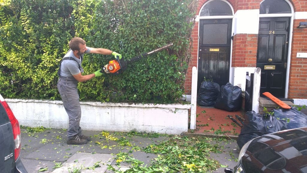 Tree Surgeons