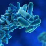 Legionella risk assessment