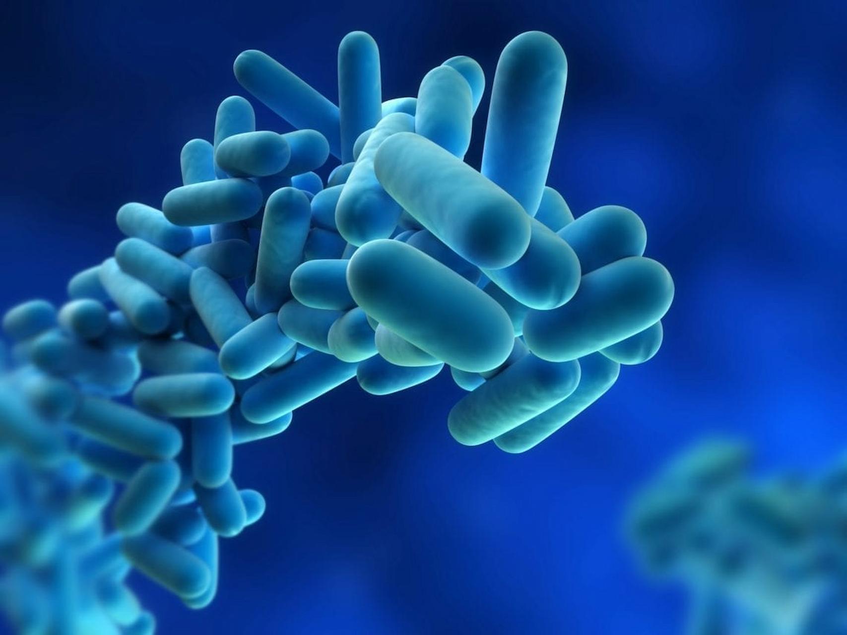 Legionella risk assessment